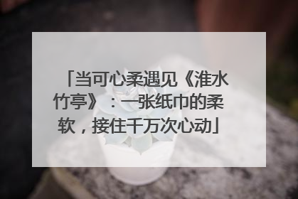 当可心柔遇见《淮水竹亭》：一张纸巾的柔软，接住千万次心动