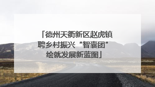 德州天衢新区赵虎镇聘乡村振兴“智囊团” 绘就发展新蓝图