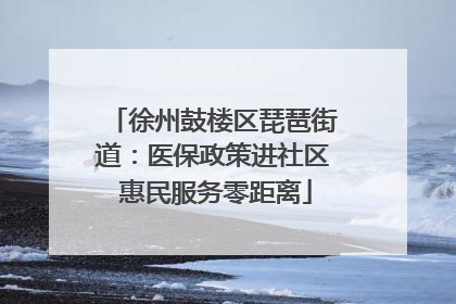徐州鼓楼区琵琶街道：医保政策进社区 惠民服务零距离