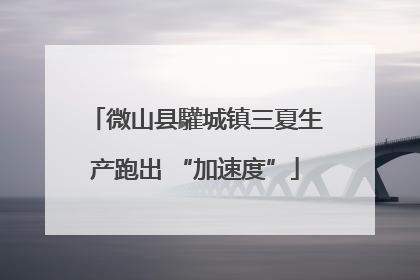微山县驩城镇三夏生产跑出 “加速度”