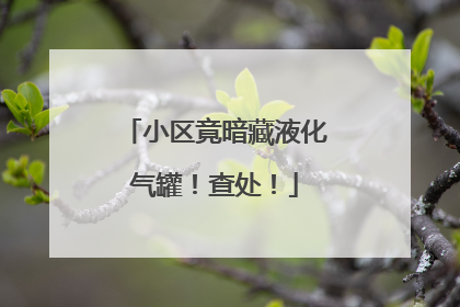 小区竟暗藏液化气罐！查处！