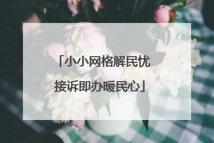 小小网格解民忧 接诉即办暖民心