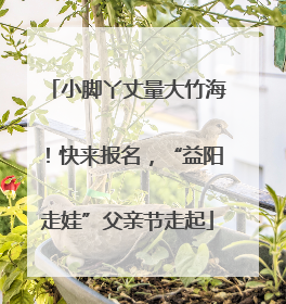 小脚丫丈量大竹海！快来报名，“益阳走娃”父亲节走起