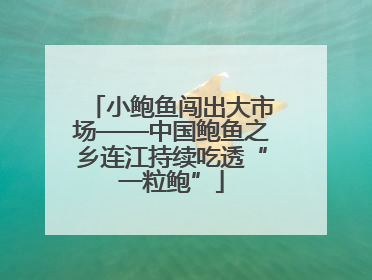 小鲍鱼闯出大市场——中国鲍鱼之乡连江持续吃透“一粒鲍”