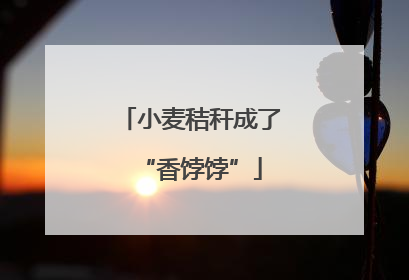 小麦秸秆成了“香饽饽”