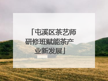 屯溪区茶艺师研修班赋能茶产业新发展