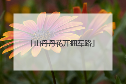 山丹丹花开拥军路