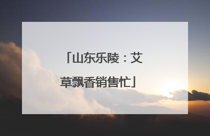山东乐陵：艾草飘香销售忙