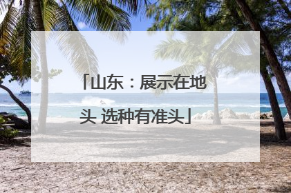 山东：展示在地头 选种有准头