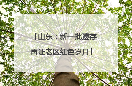 山东：新一批遗存再证老区红色岁月
