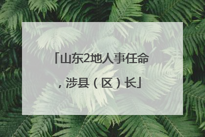 山东2地人事任命，涉县（区）长