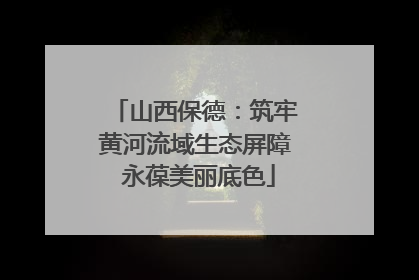 山西保德：筑牢黄河流域生态屏障 永葆美丽底色