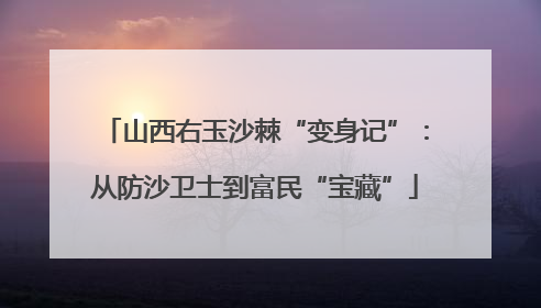 山西右玉沙棘“变身记”：从防沙卫士到富民“宝藏”