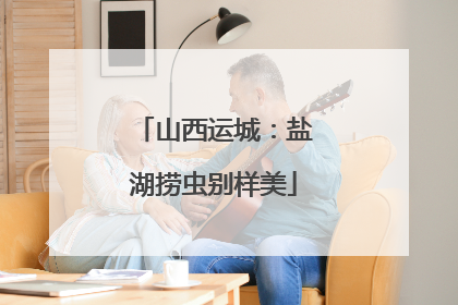 山西运城：盐湖捞虫别样美