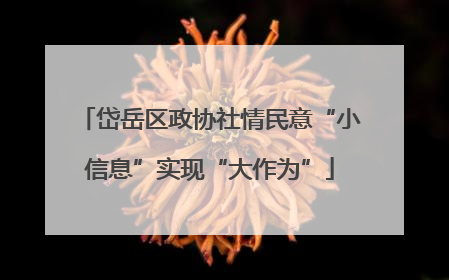 岱岳区政协社情民意“小信息”实现“大作为”