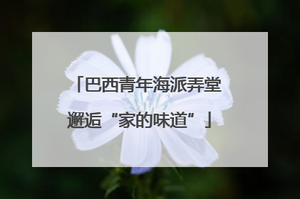巴西青年海派弄堂邂逅“家的味道”