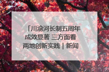 川渝河长制五周年成效显著 三方面看两地创新实践｜新闻发布最前线