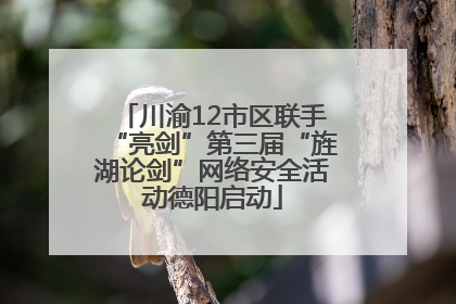 川渝12市区联手“亮剑”第三届“旌湖论剑”网络安全活动德阳启动