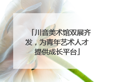 川音美术馆双展齐发，为青年艺术人才提供成长平台