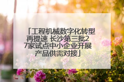工程机械数字化转型再提速 长沙第三批27家试点中小企业开展产品供需对接