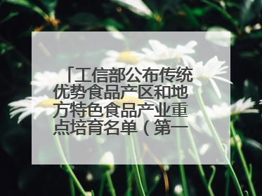 工信部公布传统优势食品产区和地方特色食品产业重点培育名单（第一批）兰州牛肉拉面位列其中