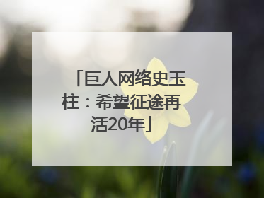 巨人网络史玉柱：希望征途再活20年