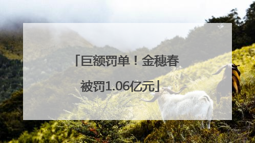 巨额罚单！金穗春被罚1.06亿元