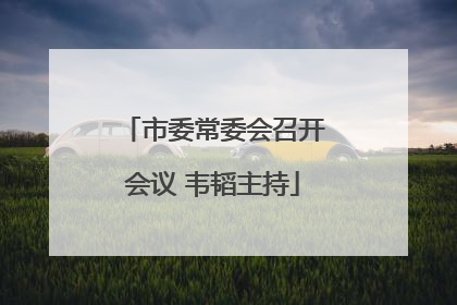 市委常委会召开会议 韦韬主持