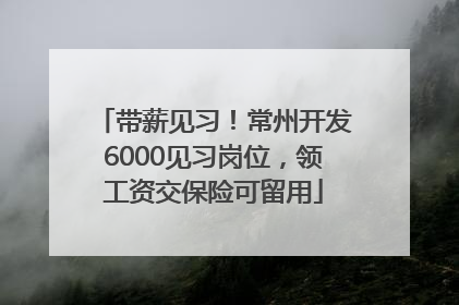 带薪见习！常州开发6000见习岗位，领工资交保险可留用