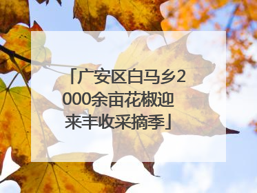广安区白马乡2000余亩花椒迎来丰收采摘季