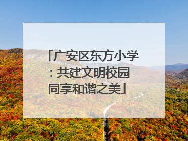广安区东方小学：共建文明校园 同享和谐之美