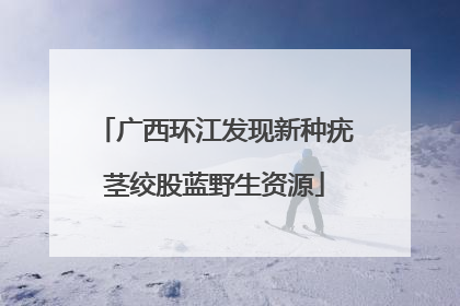广西环江发现新种疣茎绞股蓝野生资源