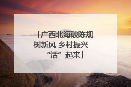 广西北海破陈规树新风 乡村振兴“活”起来