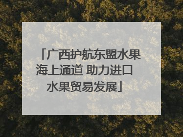 广西护航东盟水果海上通道 助力进口水果贸易发展