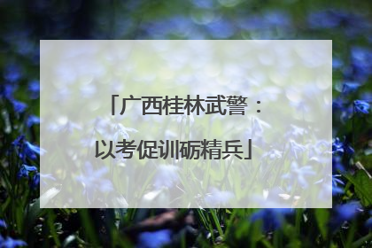 广西桂林武警：以考促训砺精兵
