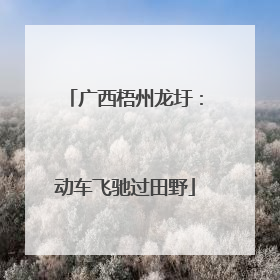 广西梧州龙圩：动车飞驰过田野