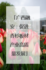 广西融安：促进香杉板材产业高质量发展