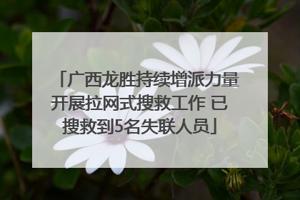 广西龙胜持续增派力量开展拉网式搜救工作 已搜救到5名失联人员