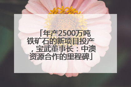 年产2500万吨铁矿石的新项目投产，宝武董事长：中澳资源合作的里程碑