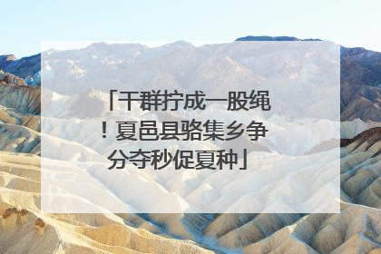 干群拧成一股绳！夏邑县骆集乡争分夺秒促夏种