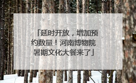 延时开放，增加预约数量！河南博物院暑期文化大餐来了