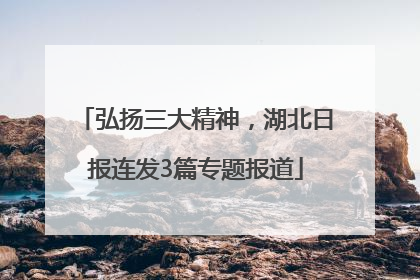 弘扬三大精神，湖北日报连发3篇专题报道