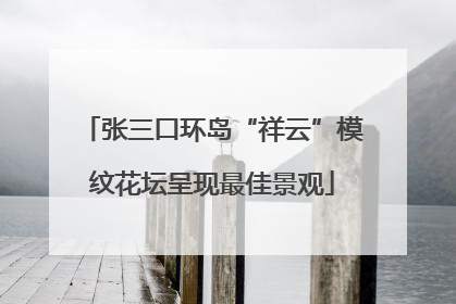 张三口环岛“祥云”模纹花坛呈现最佳景观