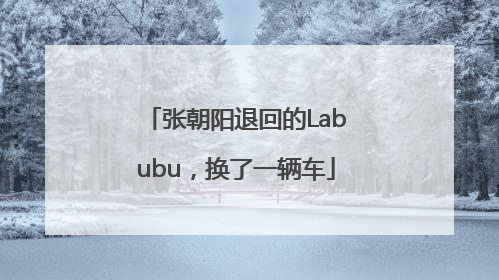 张朝阳退回的Labubu，换了一辆车