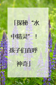 探秘“水中精灵”！孩子们直呼神奇
