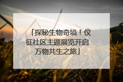 探秘生物奇境！仪征社区主题展览开启万物共生之旅