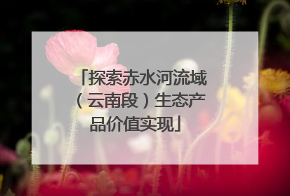 探索赤水河流域（云南段）生态产品价值实现