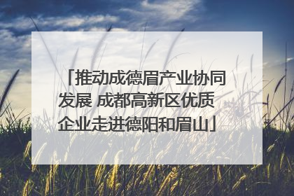 推动成德眉产业协同发展 成都高新区优质企业走进德阳和眉山