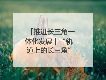 推进长三角一体化发展｜“轨道上的长三角”今年基本建成