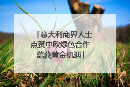意大利商界人士点赞中欧绿色合作蕴藏黄金机遇